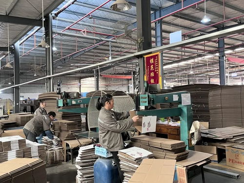 宇興包裝 做大做強荊州紙制品包裝產業(yè)